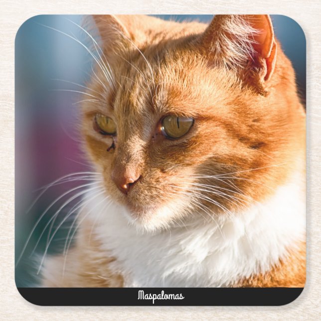 Maspalomas Cat Square Paper Coaster (Front)
