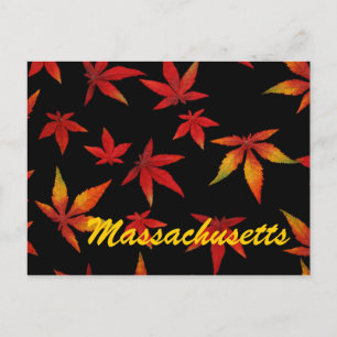 Massachusetts Autumn Leaves Postcard