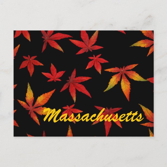 Massachusetts Autumn Leaves Postcard (Front)