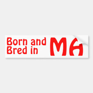 Massachusetts Bred (Bumper Sticker) Sticker