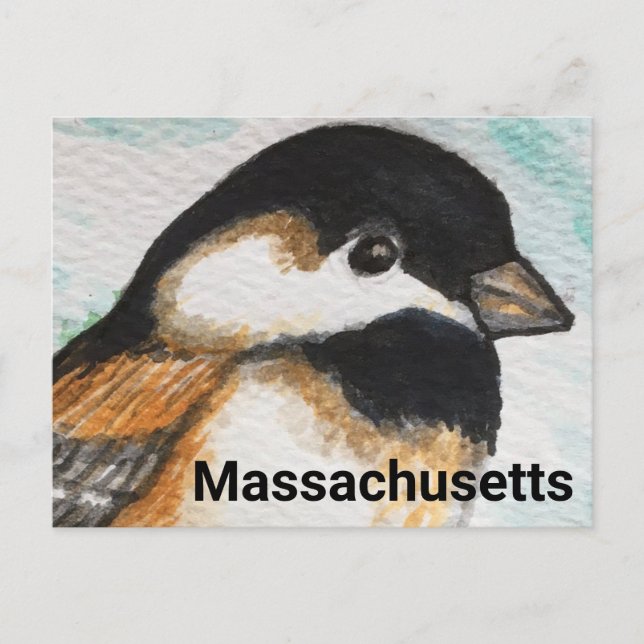 Massachusetts Chickadee State Bird Painting Postcard (Front)