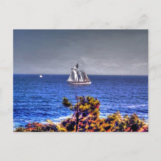 Massachusetts, Gloucester - Postcard (Front)