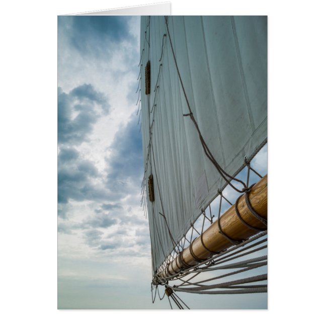 Massachusetts, Gloucester, Schooner Festival 4 (Front)