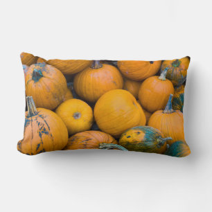 Massachusetts, Salisbury, pumpkins, autumn Lumbar Cushion