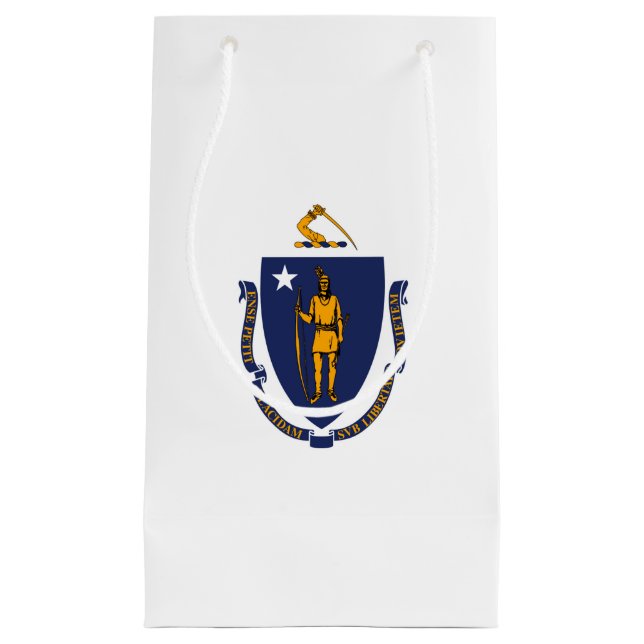 Massachusetts State Flag Design Small Gift Bag (Front)