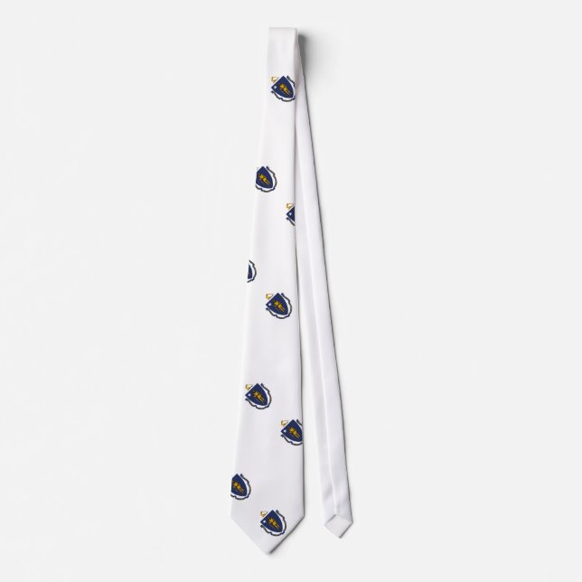 Massachusetts State Flag Tie (Front)