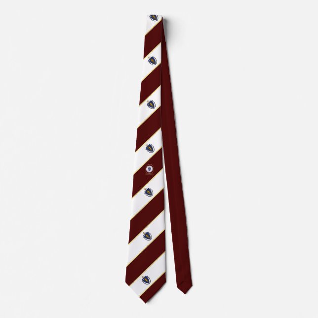 Massachusetts stripes flag tie (Front)