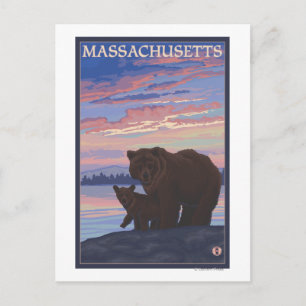 MassachusettsBear and Cub Postcard
