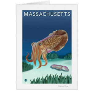 MassachusettsCuttlefish Scene
