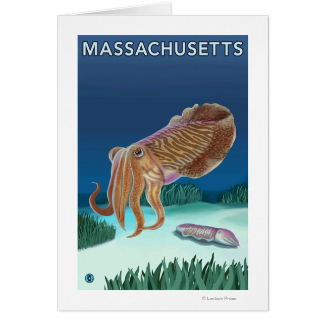 MassachusettsCuttlefish Scene (Front)