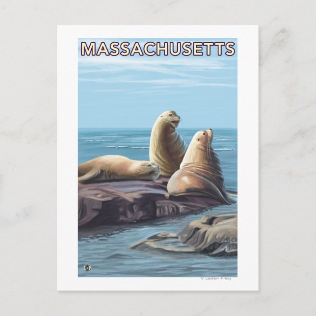 MassachusettsSea Lions Scene Postcard (Front)