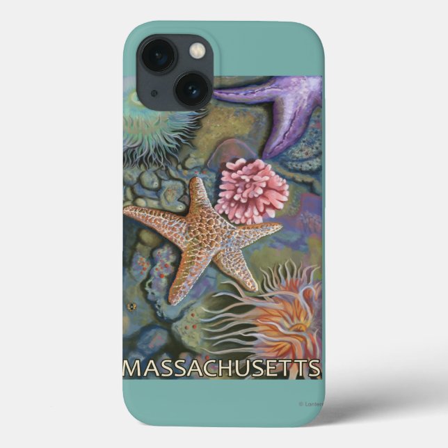 MassachusettsTidepool Scene Case-Mate iPhone Case (Back)