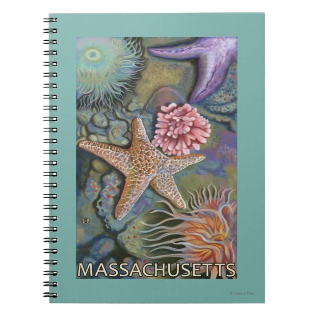 MassachusettsTidepool Scene Notebook (Front)