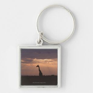 Massai Giraffe Key Ring