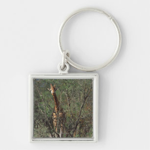 Massai Giraffe Key Ring