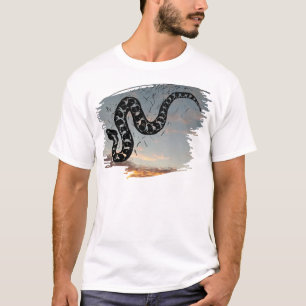Massasauga Rattle Snake Medicine on Sunset T-Shirt