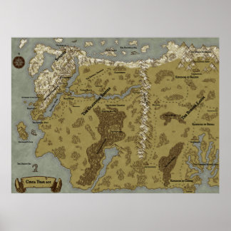 Massive 40 x 30 inch Braunhaven Poster Map
