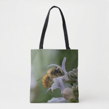 Massive bee,  or maybee(!) other insect, on a bag.
