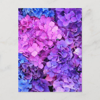 Massive bunch of purple and blue hydrangeas postcard