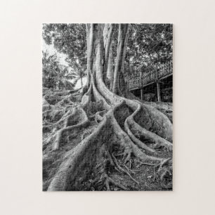 Massive rubber tree roots jigsaw puzzle