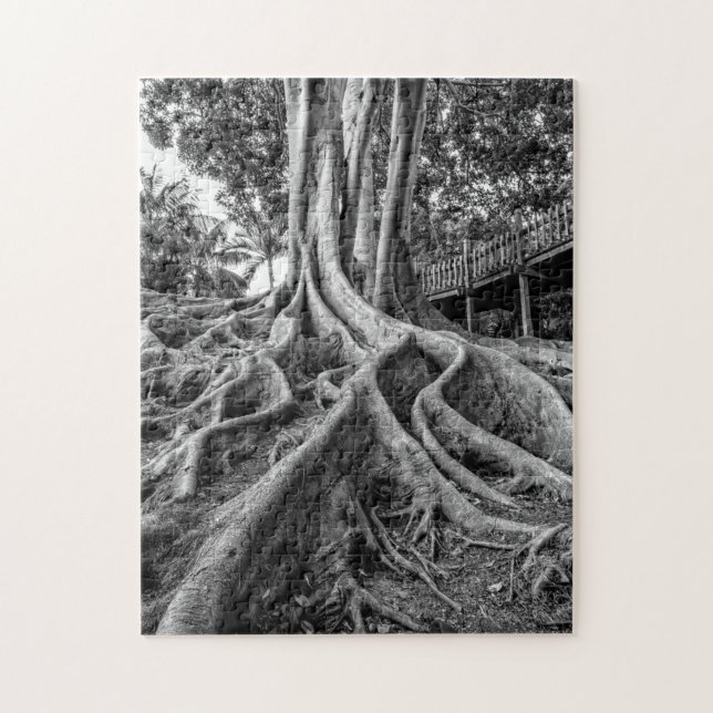Massive rubber tree roots jigsaw puzzle (Vertical)