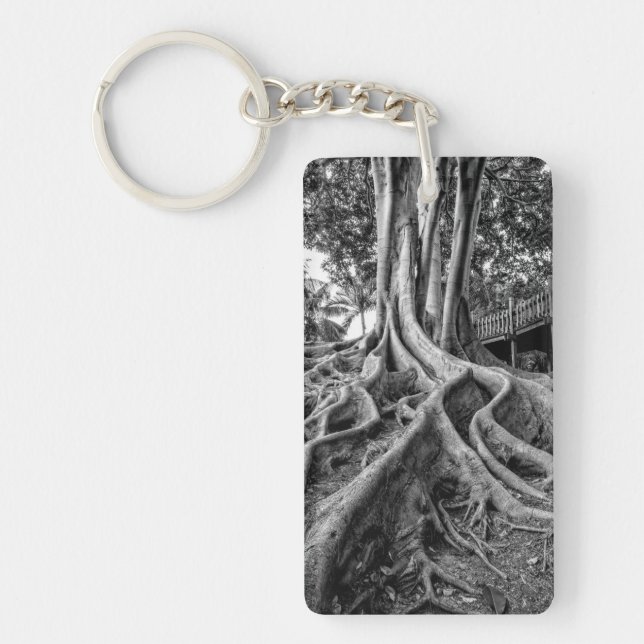 Massive rubber tree roots key ring (Front)