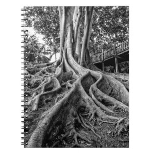 Massive rubber tree roots notebook