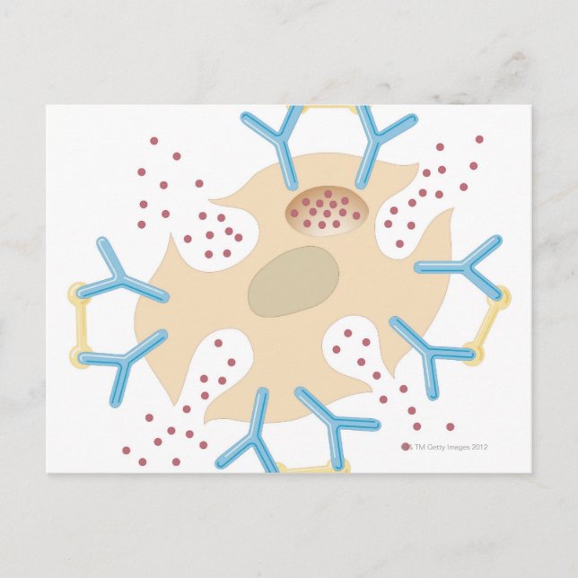 Mast Cell Releasing Histamine Postcard (Front)