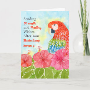 Mastectomy Healing Scarlet Macaws, Hibiscus Card