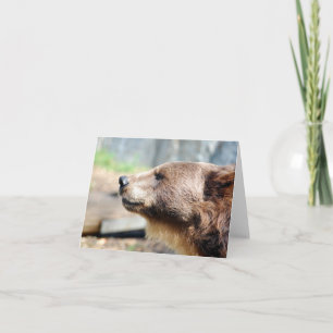 Master Bruin Card
