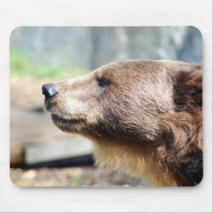 Master Bruin Mouse Pad