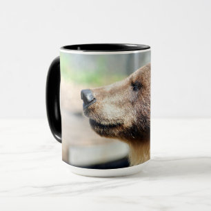Master Bruin Mug
