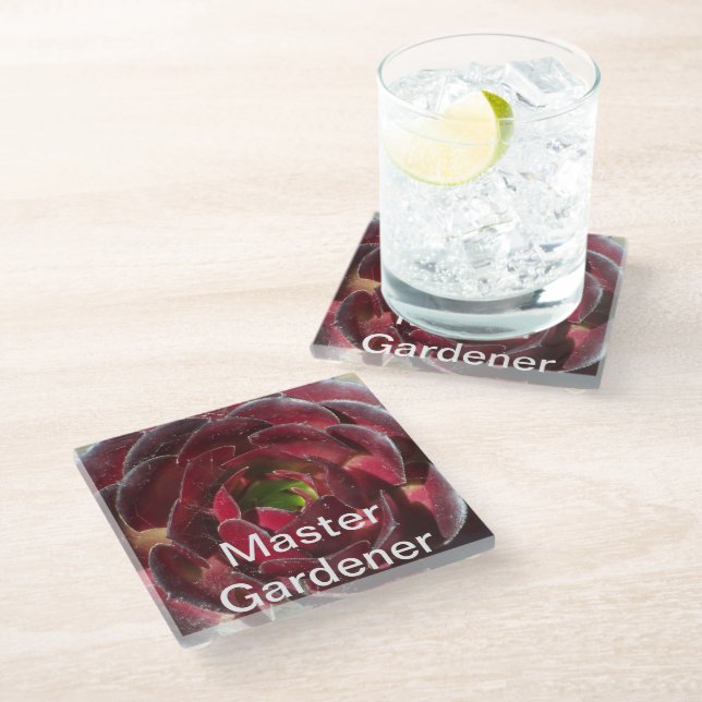 Master Gardener Coastal Plant Photo Red Succulent  Glass Coaster (Angled)