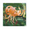 MASTER GARDENER Magnet Orange Tiger Lilies Magnets