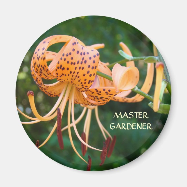 MASTER GARDENER Magnet Orange Tiger Lilies Magnets (Front)