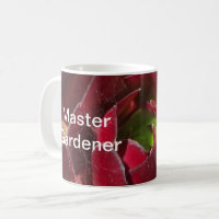 Master Gardener Red Succulent Macro Close‑Up Photo