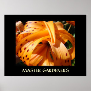 MASTER GARDENERS Art Prints TIGER LILIES Artwork