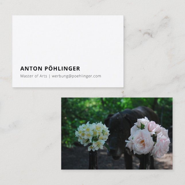 master minimal reduced business card (Front/Back)