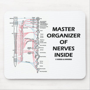 Master Organiser Of Nerves Inside (Autonomic) Mouse Pad