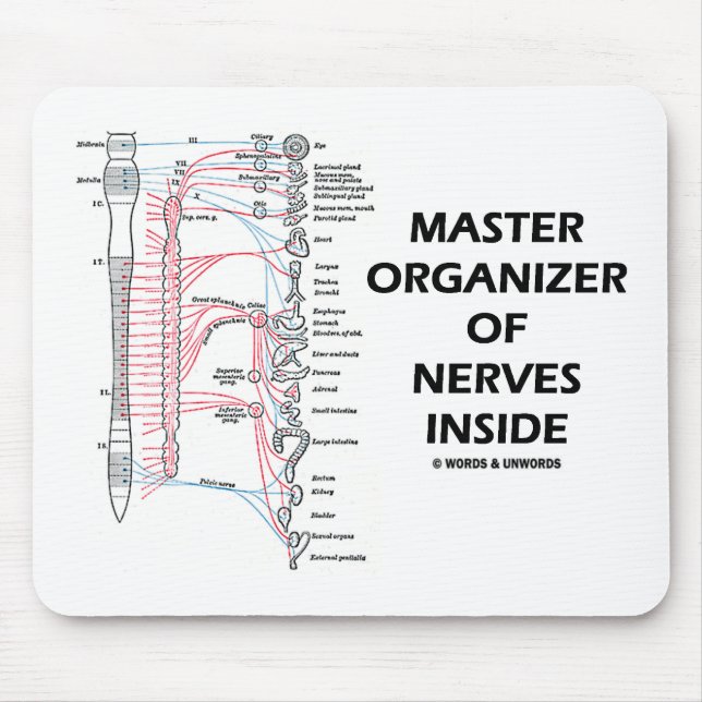 Master Organiser Of Nerves Inside (Autonomic) Mouse Pad (Front)