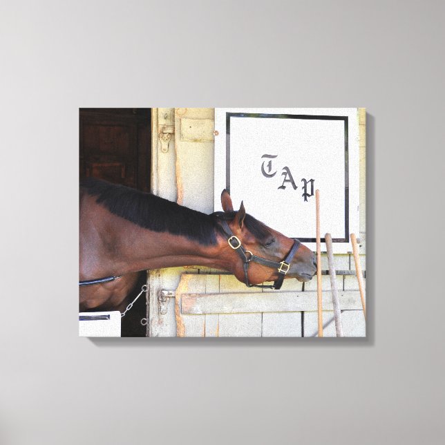 Master Plan Canvas Print (Front)