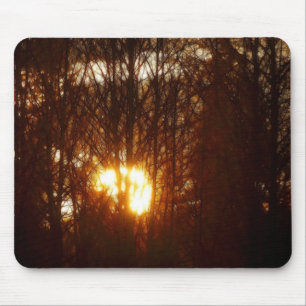 MASTERPIECES OF NATURE Sunlight Through Trees Mouse Pad