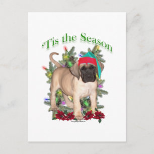 Mastiff 2 ‘Tis Postcard