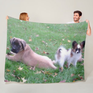 MASTIFF and PAPILLON PUPPYS Fleece Blanket