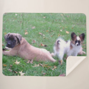 MASTIFF and PAPILLON PUPPYS Sherpa Blanket