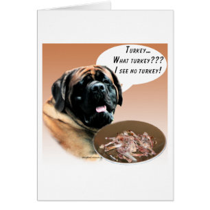 Mastiff (apricot) Turkey
