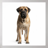 Mastiff Art