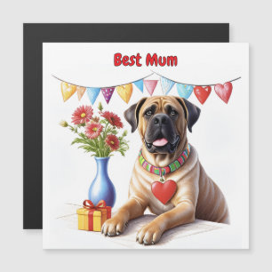Mastiff auf einer Feier