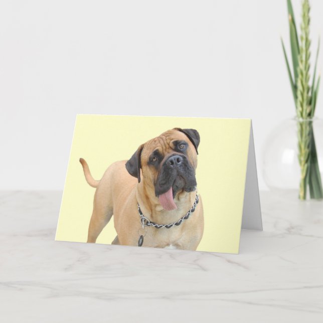 Mastiff Birthday Card by Focus for a Cause (Front)