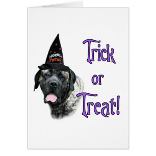 Mastiff (brindle) Trick